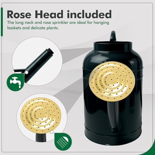 Galvanized Iron Watering Can for Indoor Plants, Bowl Watering Cans for House Plant Garden Flower, Long Spout Water Can for Outdoor Watering Plants 8.71L 2.3 Gallon Gold - Image 3