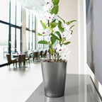 Lechuza 14903 Deltini Self-Watering Planter for Indoor and Outdoor Use, 6" x 6" x 7", Charcoal - Image 2