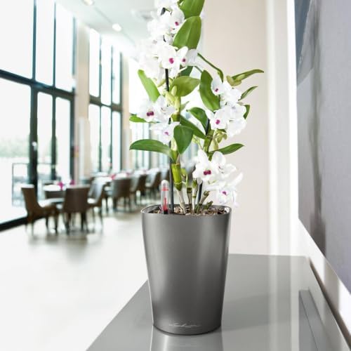 Lechuza 14903 Deltini Self-Watering Planter for Indoor and Outdoor Use, 6" x 6" x 7", Charcoal - Image 2