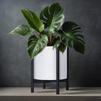 D'vine Dev Plastic Pot with Ebony Wood Stand, White, 12 in, 55-C-Q-1 - Image 4