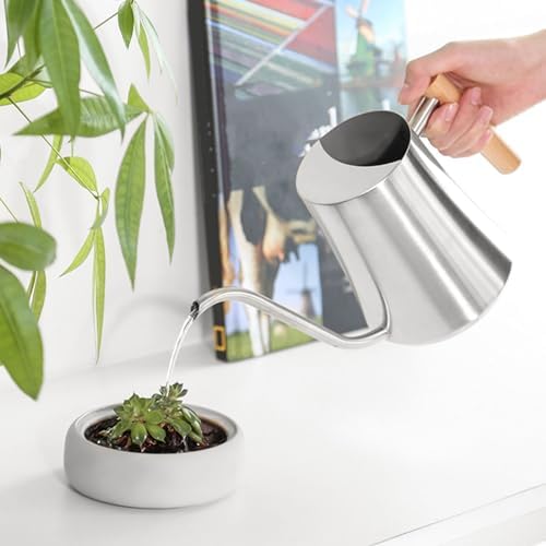 Indoor Watering Can, Stainless Steel Wooden Handle Watering Pot with Long Spout, Cute Decorative Metal Gardening Small Water Ca for Hanging Plants, Wall Plants (Sanding) - Image 5