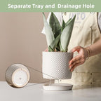 5.8 Inch Ceramic Plant Pot with Drainage Hole & Separate Saucer - Image 3
