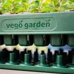 Vego garden Seedling Suite Products 10" x 20" 76 Cells Stackable Seed Starter Germination Tray with 3-in-1 Plant & Pop Board and 10" x 20" Bottom Watering Tray - Image 6