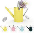 Galvanized Iron Watering Can for Indoor Plants, DIY Watering Cans for House Plant Garden Flower, Long Spout Water Can for Outdoor Watering Plants 6.44L 1.7Gallon (Beige) by Longrun