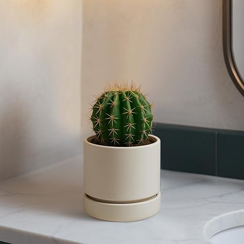 Phoenix Vine 4 Inch Planter Pot with Drainage Hole & Saucer, Deep Water Catch Tray, Straight Cylindrical Round Pot for Plants, Oatmeal, Pack of 4, 23-E-R-4 - Image 5