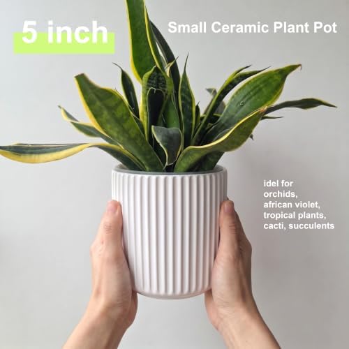 Ceramic Self Watering Plant Pot for Indoor Plant,5 inch,White,2pack - Image 3