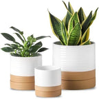 HASENSE Planters for Indoor Plants, 8+6+4.6 Inch Ceramic Plant Pots Indoors with Drainage Hole and Tray, Dual Contrast Glaze Flower Planters for Herb Snake Succulent, Set of 3, White by Hasense