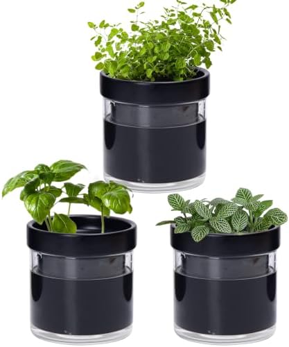 Phoenix Vine 4 Inch Self Watering Planter Pot, Black Terracotta Clay Pot with Glass Reservoir for Indoor Plants, Herbs, Flowers, Set of 3, 52-C-E-3 by Phoenix+Vine
