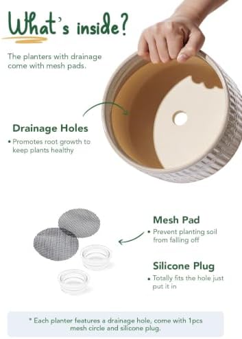 LE TAUCI Succulent Pots, 6.5+8 Inch Ceramic Indoor Plant Pot with Drainage Hole, Shallow Round Succulent Planters, Set of 2, Reactive Glaze Star White - Image 2