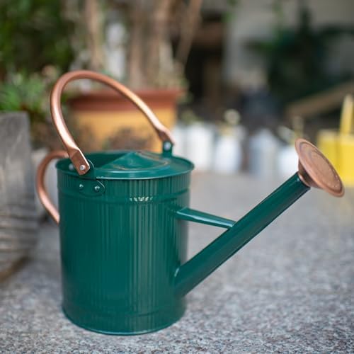 1 Gallon Dark Green Metal Watering Can, Removable Spout - Image 3