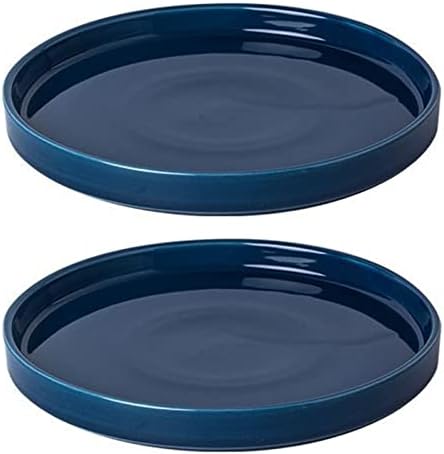 Ceramic Plant Saucer 7 Inch, 2 Pack Round Plant Trays for Indoors/Outdoors, Flower Pot Saucers for Holding Water Drips and Soil, Ceramic Drainage Tray for Plant Pot (Blue) by Fzfeiyy