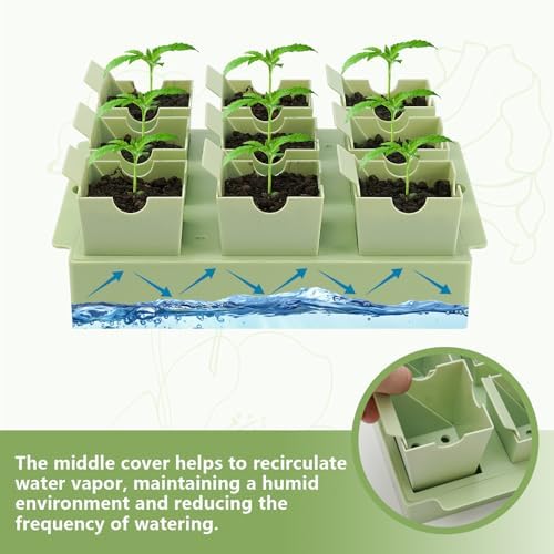 2 Pack Seed Starter Trays, Lift-Out Handles, Easy Transplanting - Image 4