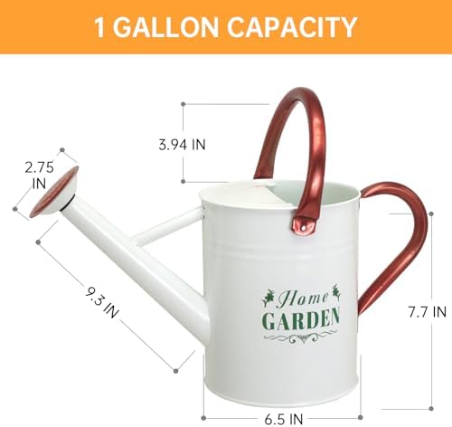 Metal Watering Can for Outdoor Plants, Galvanized Steel Watering Can with Removable spout, 1 Gallon,Perfect Home & Garden Décor White - Image 2