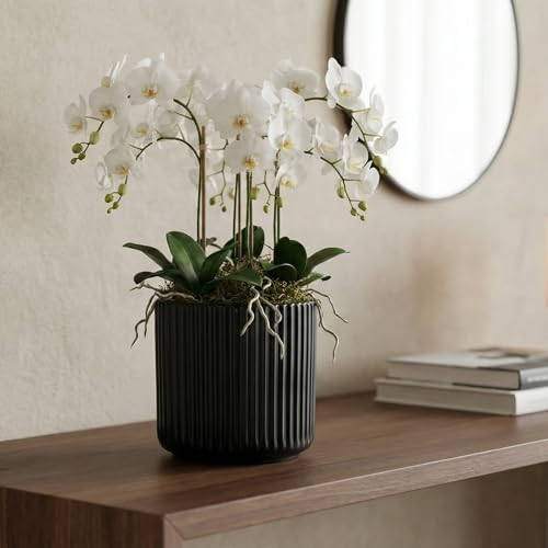 Orchid Pot,Ceramic Plant Pot with Clear Orchid Pot,6 inch,Black - Image 6