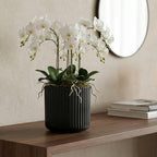 Orchid Pot,Ceramic Plant Pot with Clear Orchid Pot,6 inch,Black - Image 6