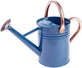 Gardman R34896 1 Gallon Watering Can, Midnight Blue by Gardman