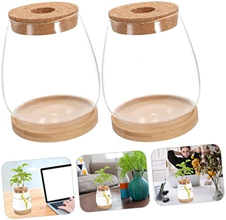 Xmas Glass Terrarium with Lid, Decorative Micro Landscaping Container - Image 2