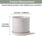5.8 Inch Plant Pot: Ceramic Planter with Drainage Hole & Saucer - Cream White Flowerpot for Indoor & Outdoor Plants - with Separate Tray for Home & Office - Wave Embossed Design - Image 2