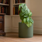 D'vine Dev Plastic Planter Pot with Saucer, 12 in, Olive, 74-X-I-3 - Image 6