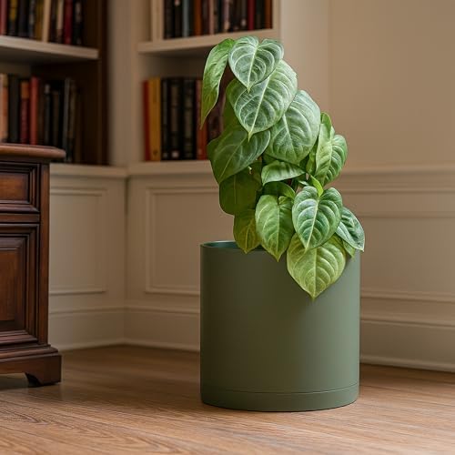 D'vine Dev Plastic Planter Pot with Saucer, 12 in, Olive, 74-X-I-3 - Image 6