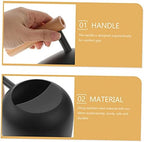 Xmas Stainless Steel Gardening Watering Can with Long Spout - Image 5