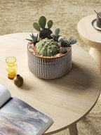 LE TAUCI Succulent Pots, 6.5+8 Inch Ceramic Pots for Plants Indoor, Shallow Round Succulent Planters with Drainage Hole, Set of 2, Reactive Glaze Black - Image 3