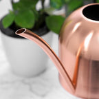 HANABASS 1000ml White Stainless Steel Water Can for Plants Scratch Modern Style - Image 5