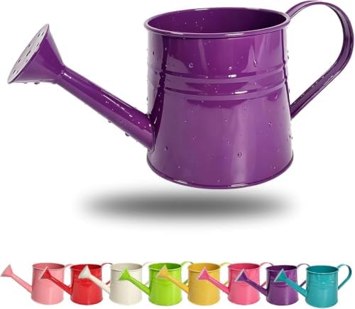 Green 1l Small Watering Can – Retro Metal,Sprinkler Head,Spray Spout for Indoor Plants,Kids,Outdoor Flowers & House by Unknown