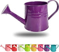 Green 1l Small Watering Can – Retro Metal,Sprinkler Head,Spray Spout for Indoor Plants,Kids,Outdoor Flowers & House by Unknown