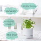 Phoenix Vine 4 Inch Planter Pot with Drainage Hole & Saucer, Deep Water Catch Tray, Straight Cylindrical Round Pot for Plants, Matte White, Pack of 6, 23-B-R-6 - Image 3