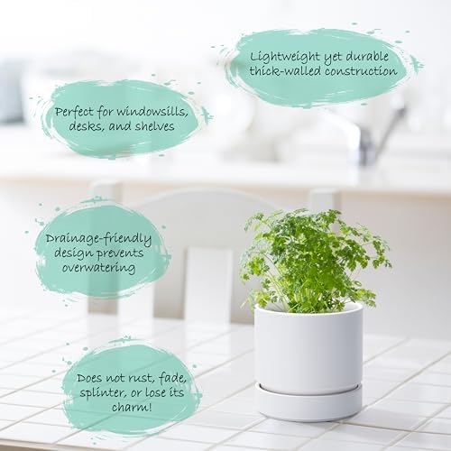 Phoenix Vine 4 Inch Planter Pot with Drainage Hole & Saucer, Deep Water Catch Tray, Straight Cylindrical Round Pot for Plants, Matte White, Pack of 6, 23-B-R-6 - Image 3