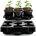 RooTrimmer 6 Inch Plastic Plant Pots 30 Pack and 6 Cell Nursery Pots Trays 5 Pack, Sturdy Seeds Starting Germination Shuttle Carrying Trays, Black Nursery Planting Propagation 5 Sets by RooTrimmer