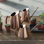 Jeffergarden Watering Can Stainless Steel Watering Pot, Long Spout Metal Kettle 400ml 900ml 1500ml, Bronze Can for Indoor Outdoor Plants Bonsai s Office Garden (Medium Size 3.8x6.3cm) - Image 5