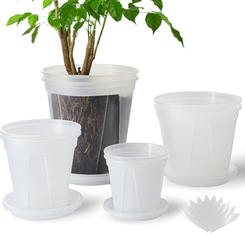 Clear Plant Nursery pots with Saucers,5/6/7/8 inch 8 Pack by TineDew