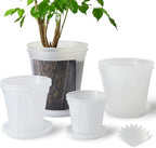 Clear Plant Nursery pots with Saucers,5/6/7/8 inch 8 Pack by TineDew