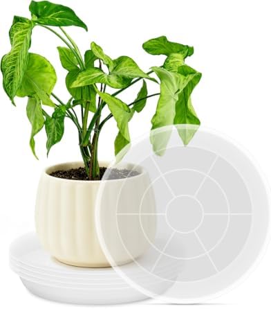 PACETAP 16 inch Plant Saucer Pot Tray 5 Pack, Large Thickened PP Plastic Flower Planter Water Drip Trays for Indoor Outdoor Garden, Semi-Transparent Planter Water Catcher for Pot, Plant Dish by PACETAP