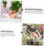 Rose Gold Stainless Steel Watering Pot Long Spout Gardening Tool for Indoor Plants Succulents Practical Plant Sprinkler - Image 7
