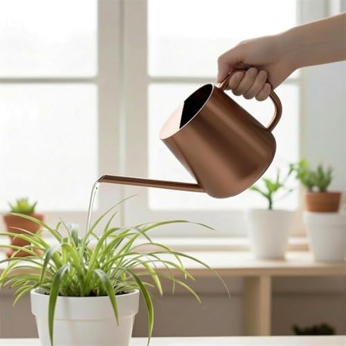 Watering Can Indoor Small for House Plant with Long Spout Stainless Steel 1000ml for Flowers Small Stainless Steel Watering Can - Image 6