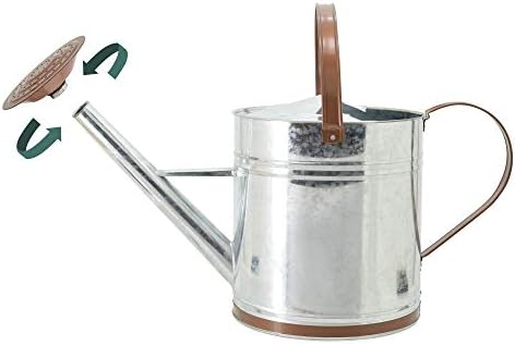 Arcadia Garden Products WC14 Classic Shiny Galvanized Metal Watering Can, Easy-Pour, Indoor and Outdoor, 2.6 gal - Image 4