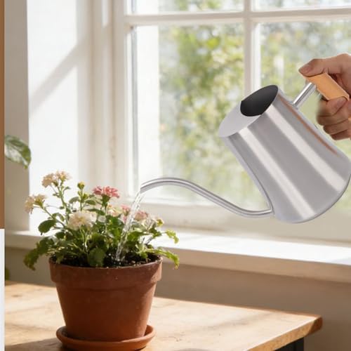 Asixxsix 1L Stainless Steel Watering Can with Long Spout, Indoor Watering Can Metal Stainless Steel Pot with Wood Handle for Succulent Bonsai Garden Flower (Sanding 1L) - Image 2