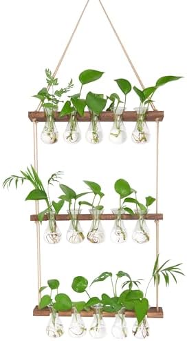 XXXFLOWER Upgraded Glass Plant Mister Spray Bottle+Wall Hanging Propagation Station with Wooden Stand 5 Bulb Vase 3 Tiers - Image 6