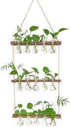 XXXFLOWER Upgraded Glass Plant Mister Spray Bottle+Wall Hanging Propagation Station with Wooden Stand 5 Bulb Vase 3 Tiers - Image 6