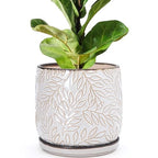 D'vine Dev Embossed Leaves Ceramic Planter, 8 in, Smoked White, 27-A-Q-1 by DvineDevPlanterPotsandStand