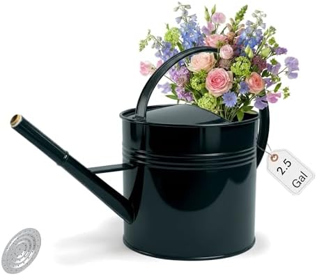 Galvanized Iron Watering Can for Indoor Plants, Oval Watering Cans for House Plant Garden Flower, Long Spout Water Can for Outdoor Watering Plants 9.46L 2.5 Gallon by Longrun
