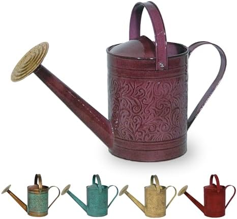 Robert Allen MPT01185 Metal Watering can, 1 Gallon, Stormy Purple by Unknown