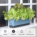 Window Box Planter 4 Packs, 17 Inches Rectangle Flower Pots with Drainage Holes & Trays, Pots for Vegetables, Herbs, Flowers, Garden Windowsill Balcony (Blue, 17 * 5.1 * 6 inch) - Image 5