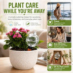 19 oz Large Self Watering Globes for Plants, Top Fill, 6 Pack - Image 2