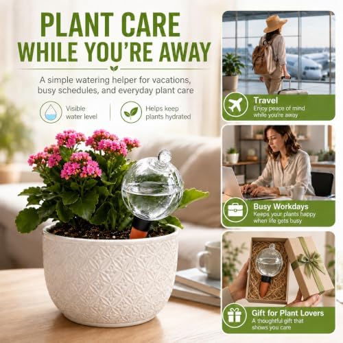 19 oz Large Self Watering Globes for Plants, Top Fill, 4 Pack - Image 2