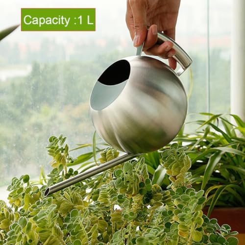 Watering Kettle Stainless Steel Long Spout 1000ml for Plants - Image 3
