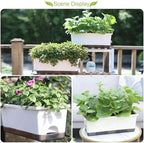 Oliz Window Box Planter 8 Pcs, 17 Inches Rectangle Flower Pots with Drainage Holes & Trays, Vegetable Planters for Windowsill Patio Garden Balcony Home Indoor Outdoor (White, 16 * 7 * 6 inch) - Image 5